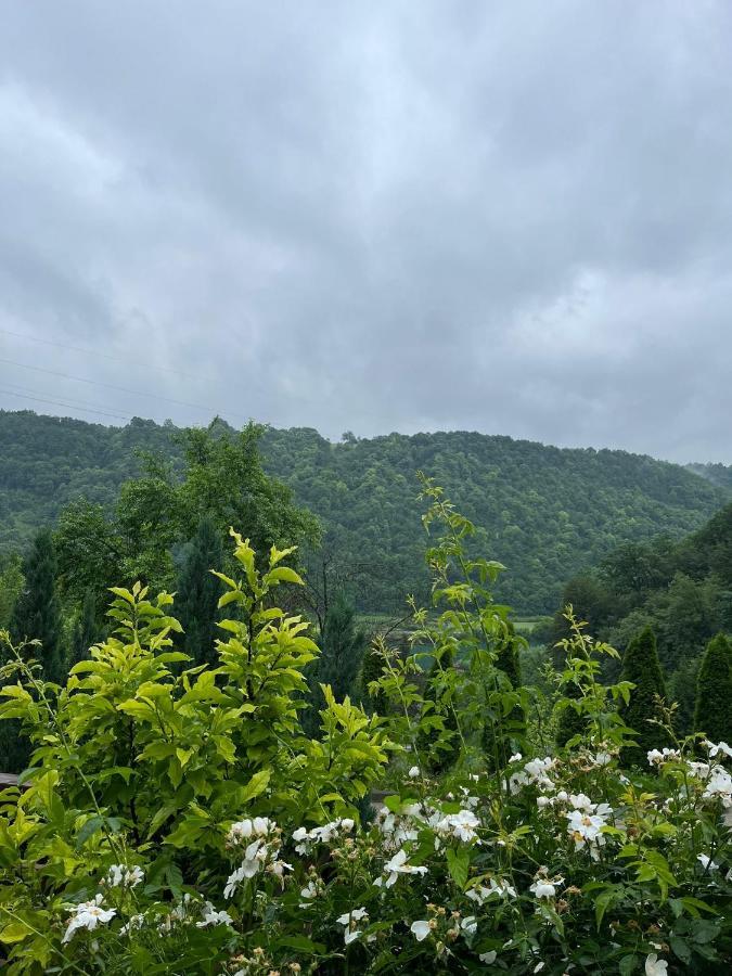 Villa Nature Bihać Eksteriør bilde