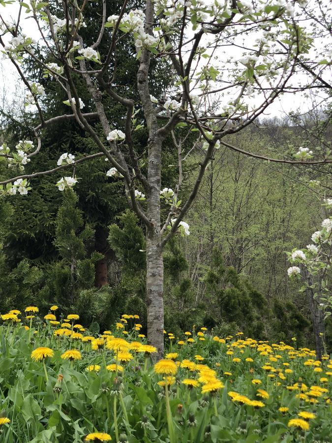 Villa Nature Bihać Eksteriør bilde