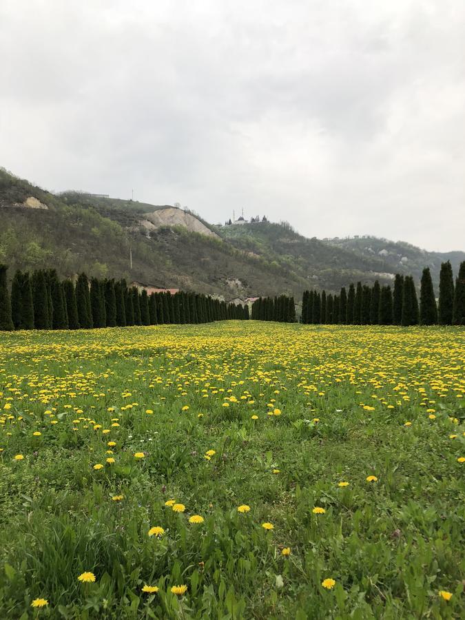 Villa Nature Bihać Eksteriør bilde
